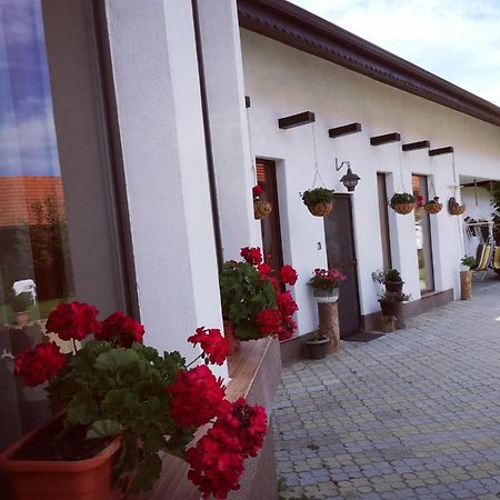 Bed and Breakfast Dridif 135 Esterno foto